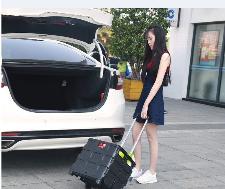 Trunk Organizer with Wheels and Adjustable Handle