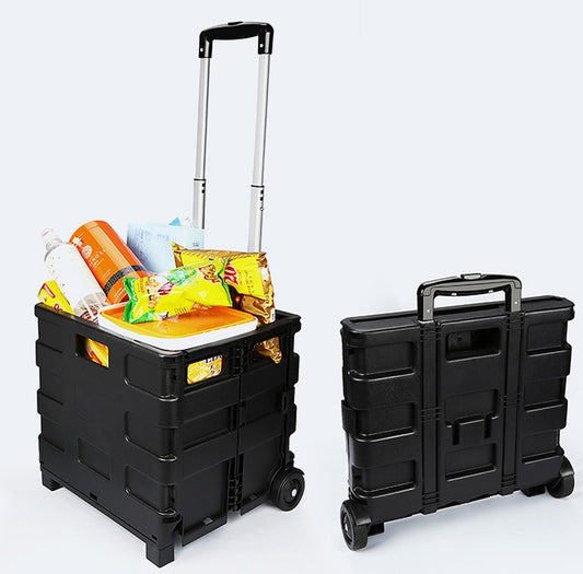Trunk Organizer with Wheels and Adjustable Handle